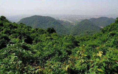 這是一座石頭成就的寺院，精美的石頭會(huì)說(shuō)話(huà)